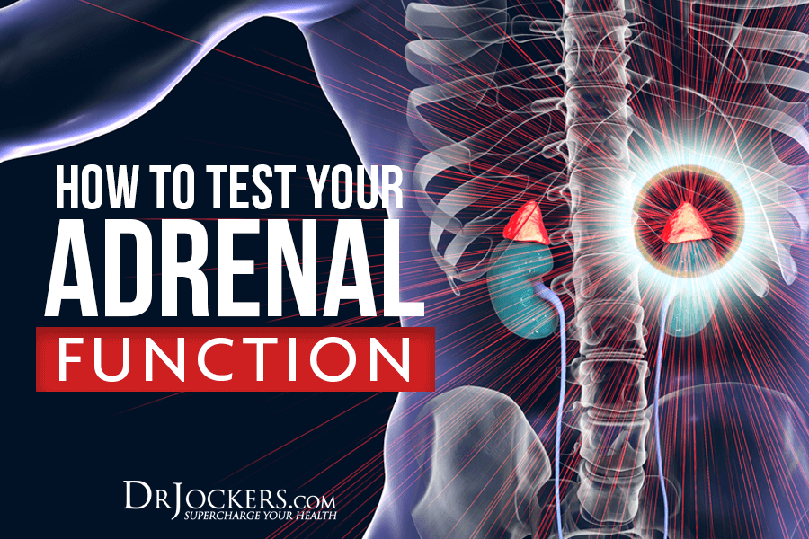 adrenal function, How to Test Your Adrenal Function