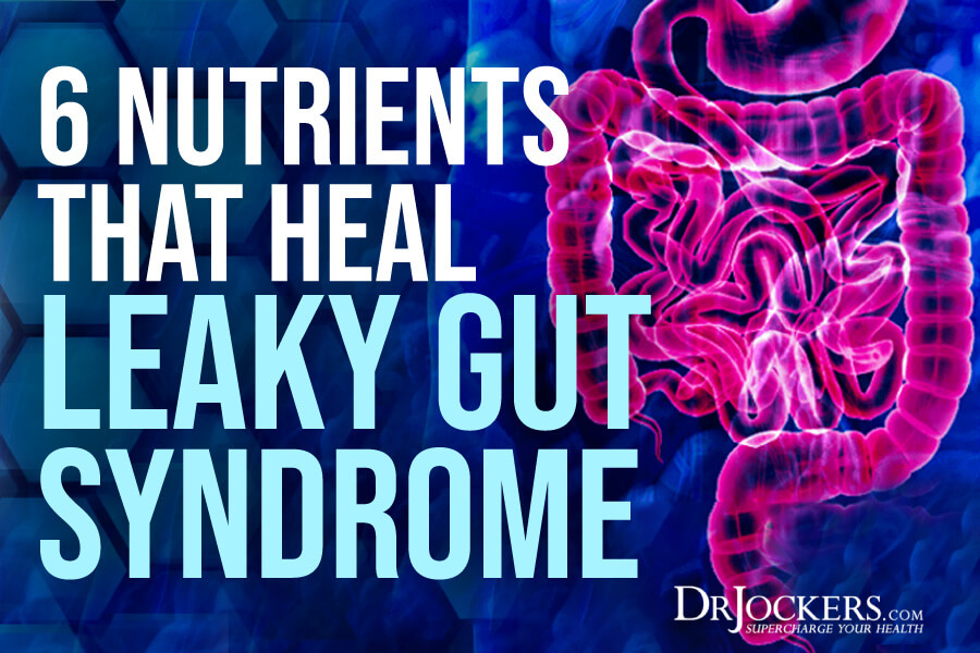 heal leaky gut, 6 Nutrients That Heal Leaky Gut Syndrome