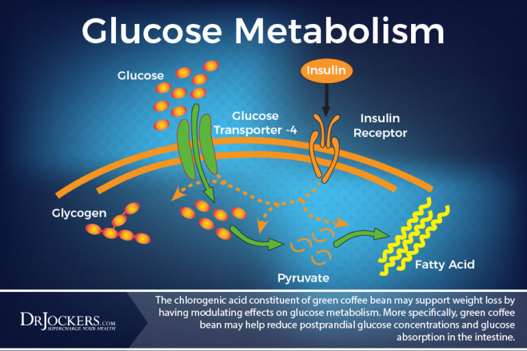 Does Green Coffee Bean Extract Help You Lose Weight?