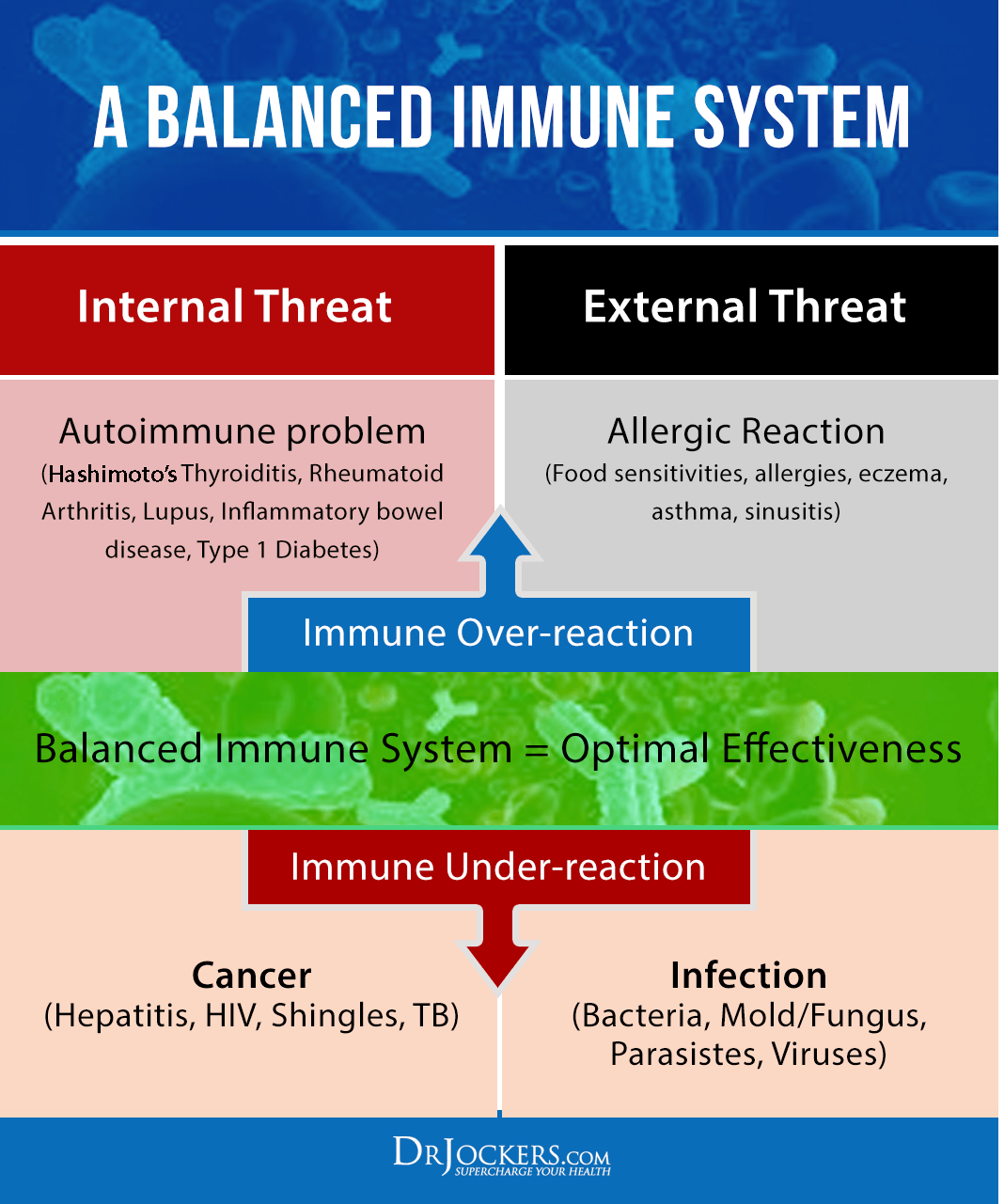 immune, 7 Strategies to Boost Your Immune System