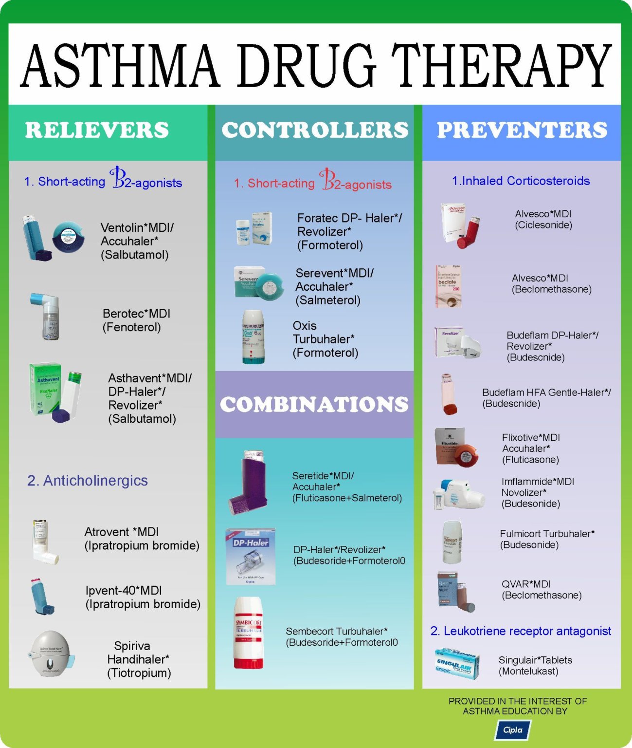 Asthma Symptoms Causes And Natural Support Strategies