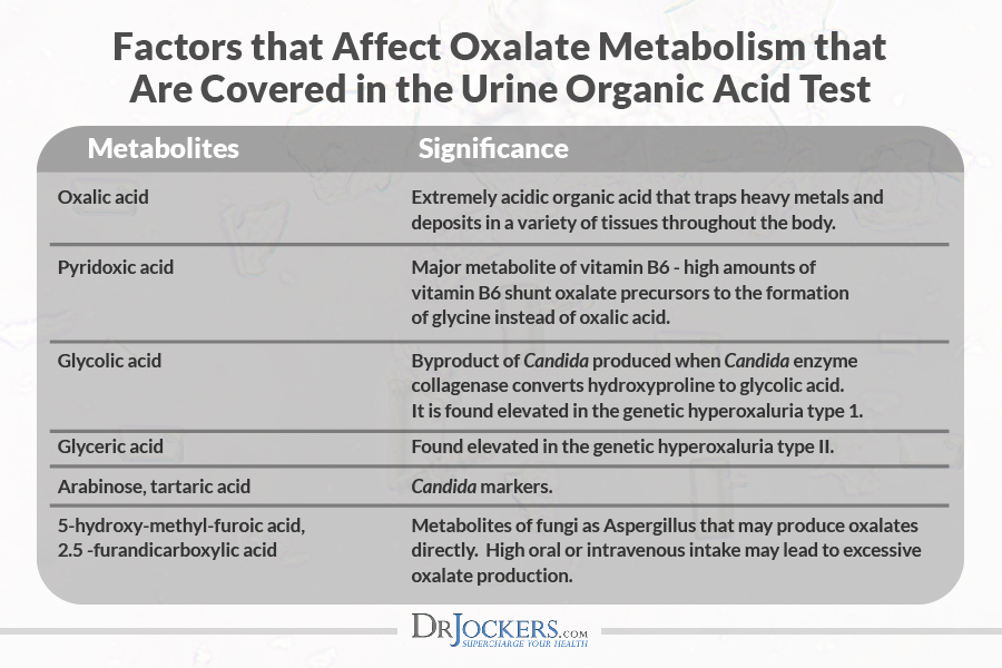 organic acids, Organic Acids Test: Analyzing this Functional Health Test
