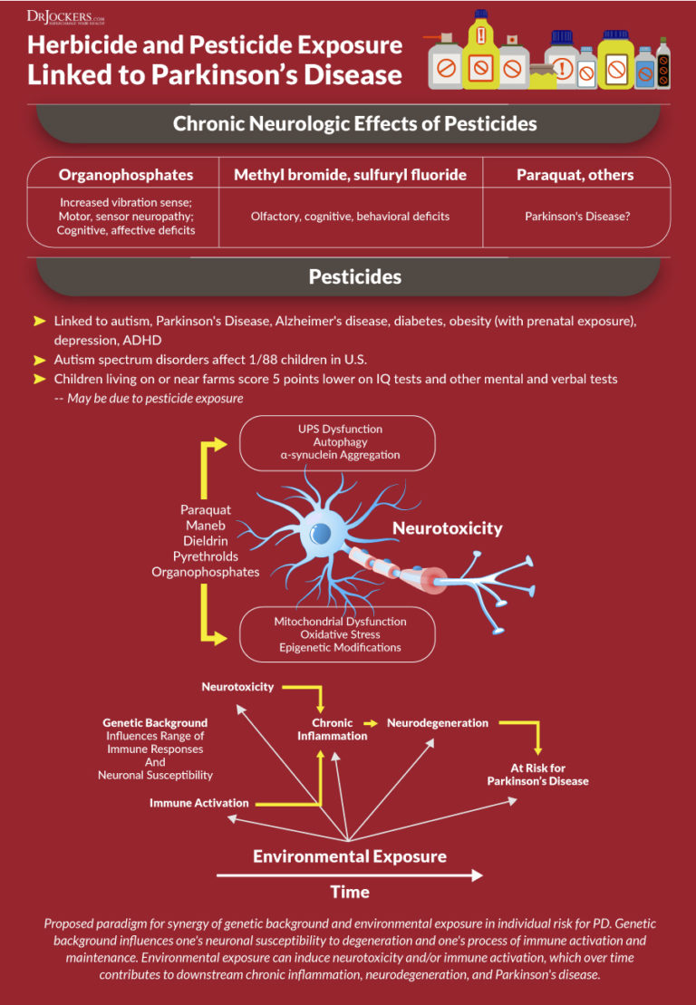 Parkinson's Disease: Symptoms, Causes and Support Strategies