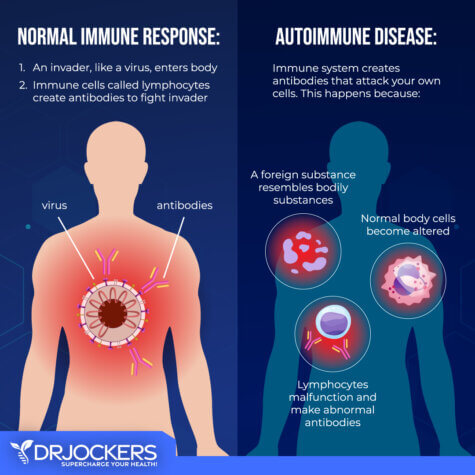 The 7 Major Factors Causing AutoImmune Conditions