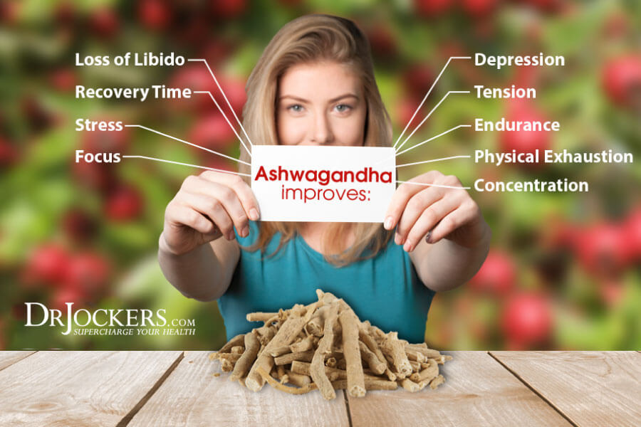 adaptogens, Top 5 Adaptogens for Stress Reduction