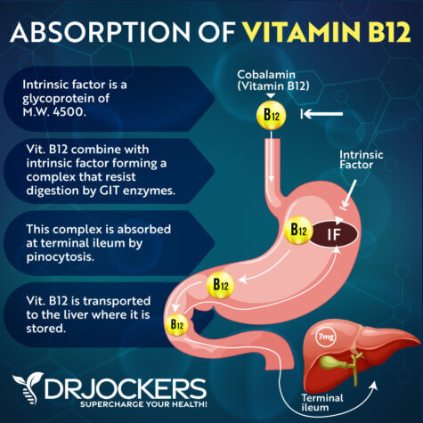 Warning Signs That You Have a B12 Deficiency - DrJockers.com