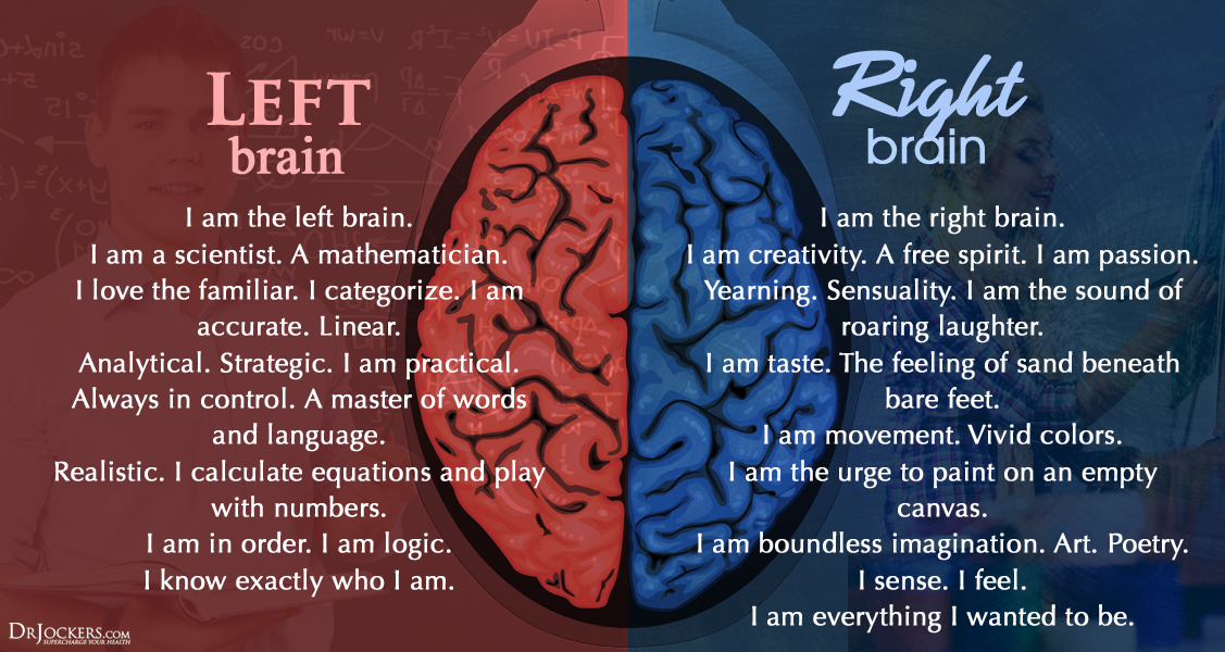 Left active. Left Brain right Brain. Left Brain. Left Brain activities. Love Brain Control.