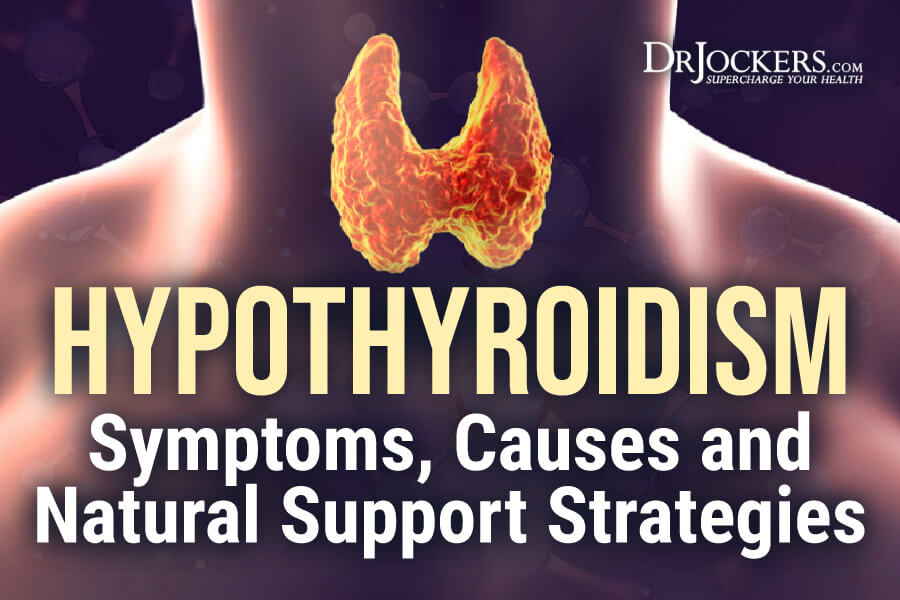 Hypothyroidism, Hypothyroidism: Symptoms, Causes and Natural Support Strategies 