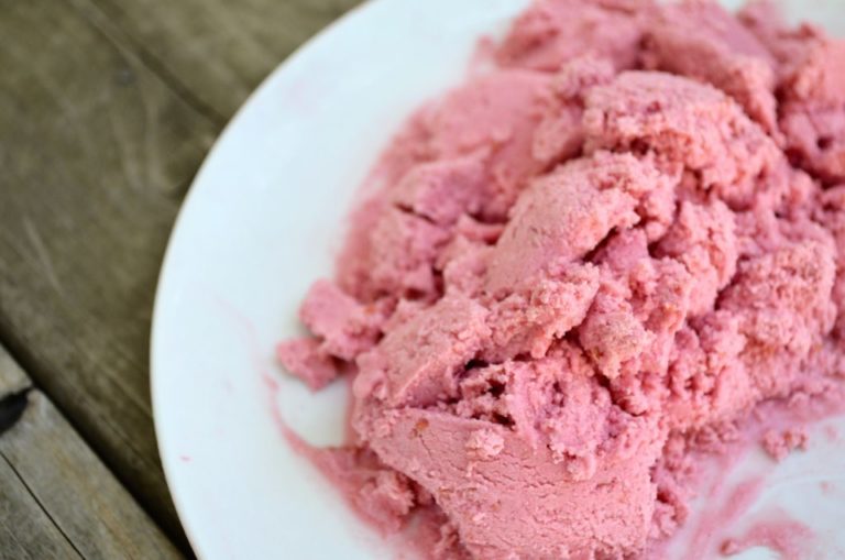 Berry Coconut Milk Ice Cream (Yum Yum!)