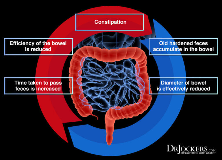 16 Ways to Achieve a Healthy Poop!! - DrJockers.com