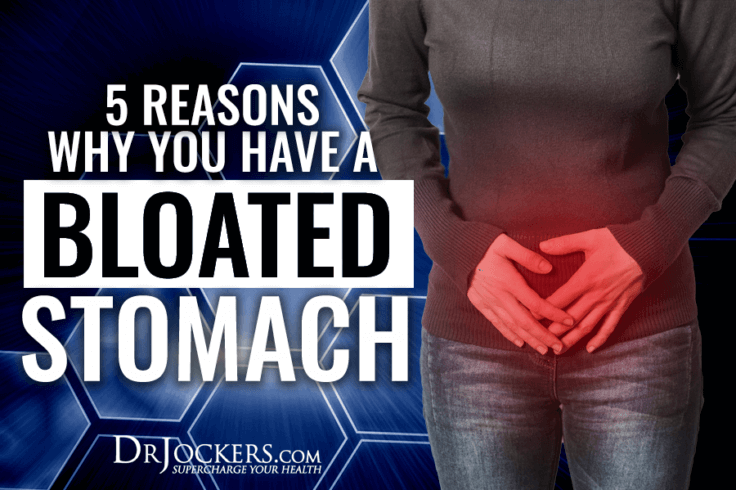 5 Reasons Why You Have a Bloated Stomach - DrJockers.com