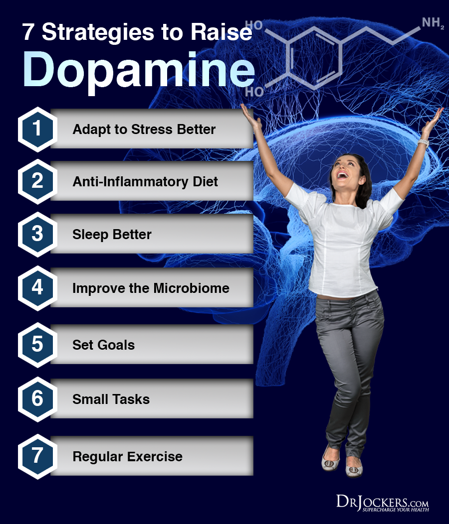 How to Thrive in Our Dopaminergic Society—and Maybe How to Rescue It -  Third Factor