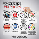 Boost Up Dopamine for Motivation and Focus - DrJockers.com