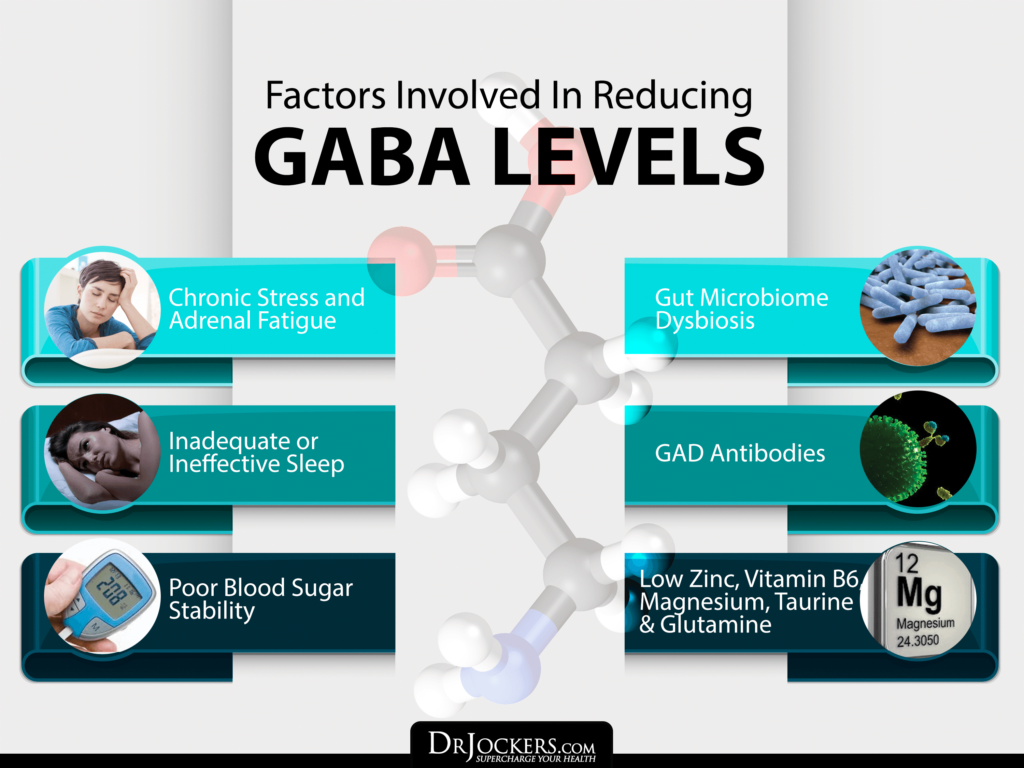 Is Your Brain Making Enough GABA?