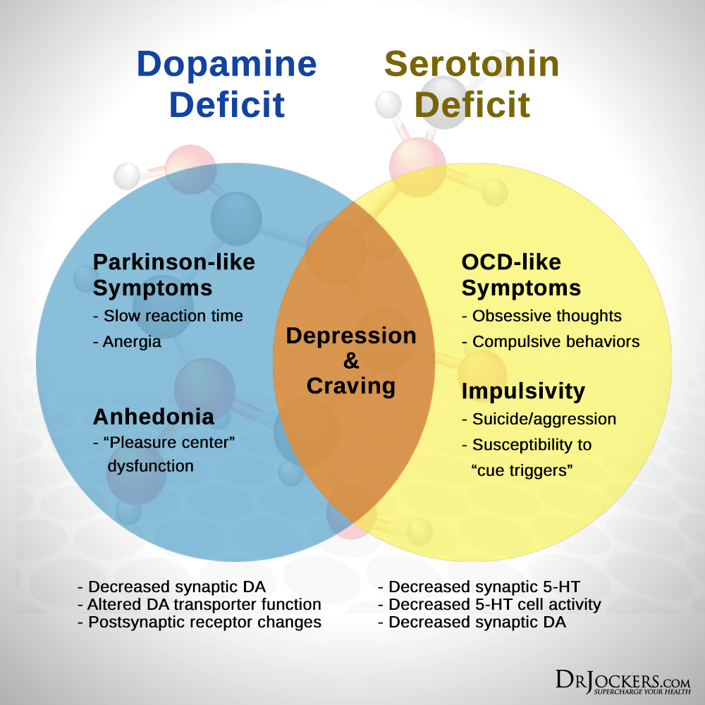 SEROTONIN SerotoninDopamine Min 1 