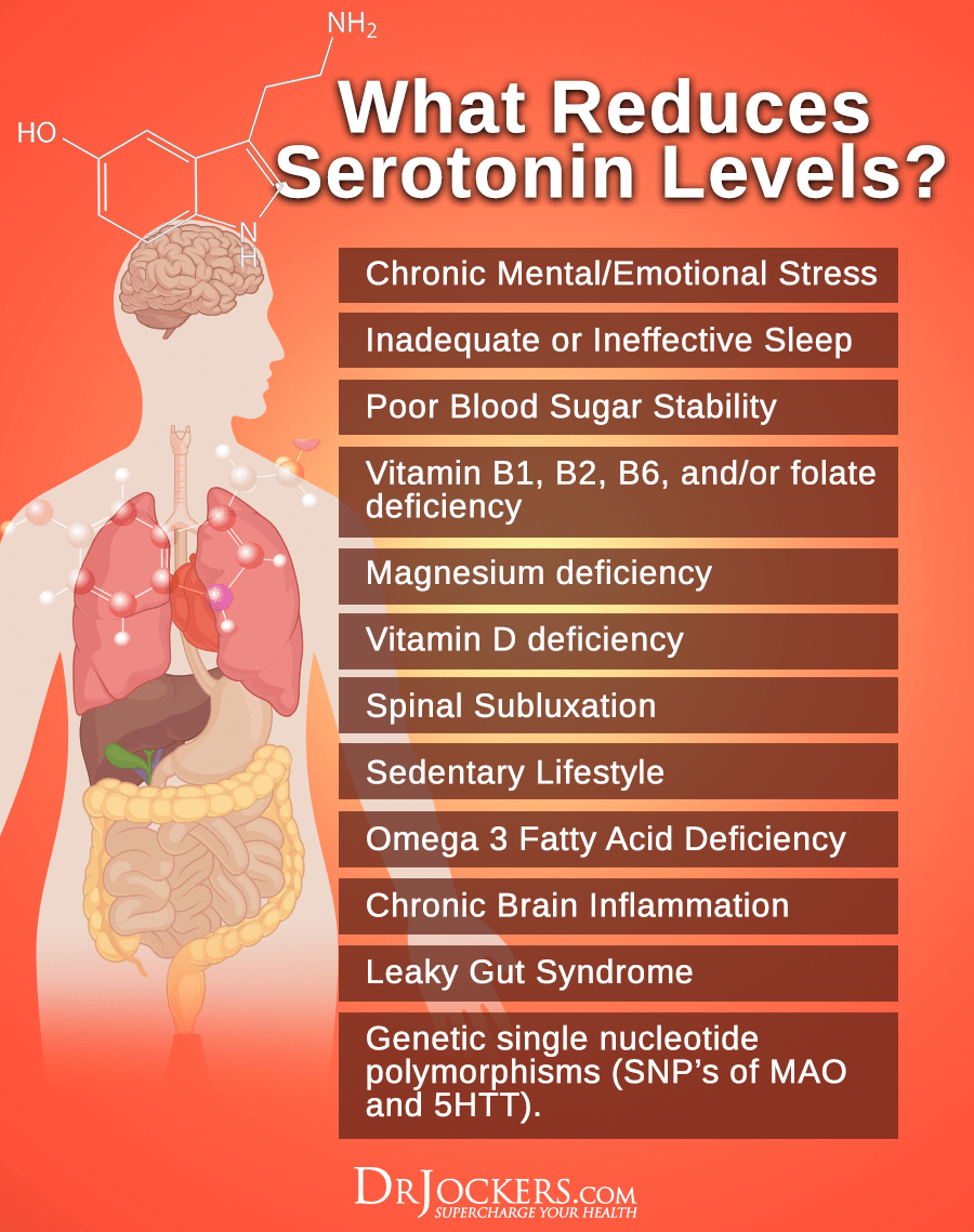 Do You Have Low Serotonin Levels? - DrJockers.com