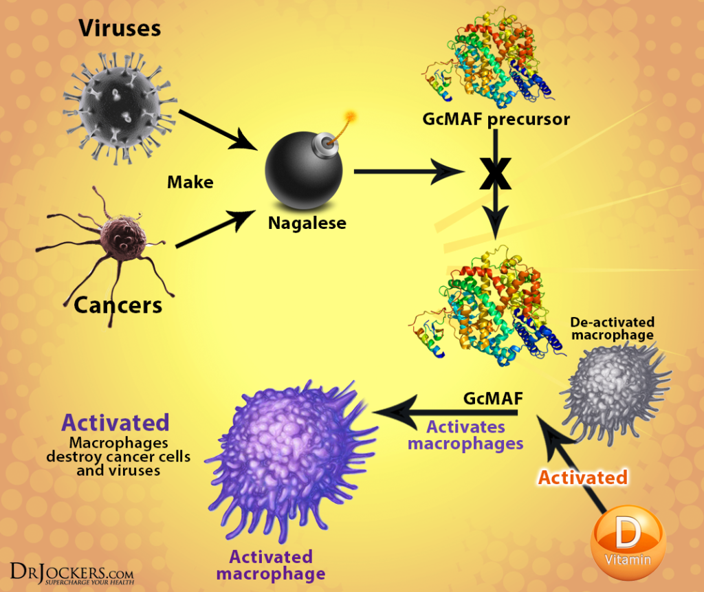 vitamin d, How Vitamin D Stops Cancer Stem Cells