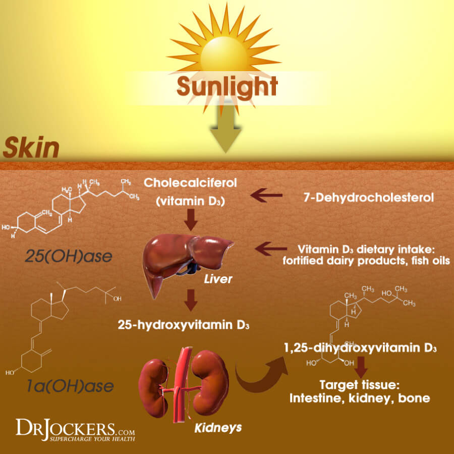 vitamin d, How Vitamin D Stops Cancer Stem Cells