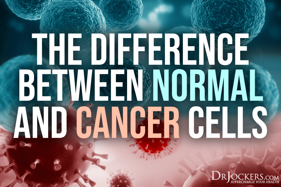 cancer cells, The Difference Between Normal and Cancer Cells
