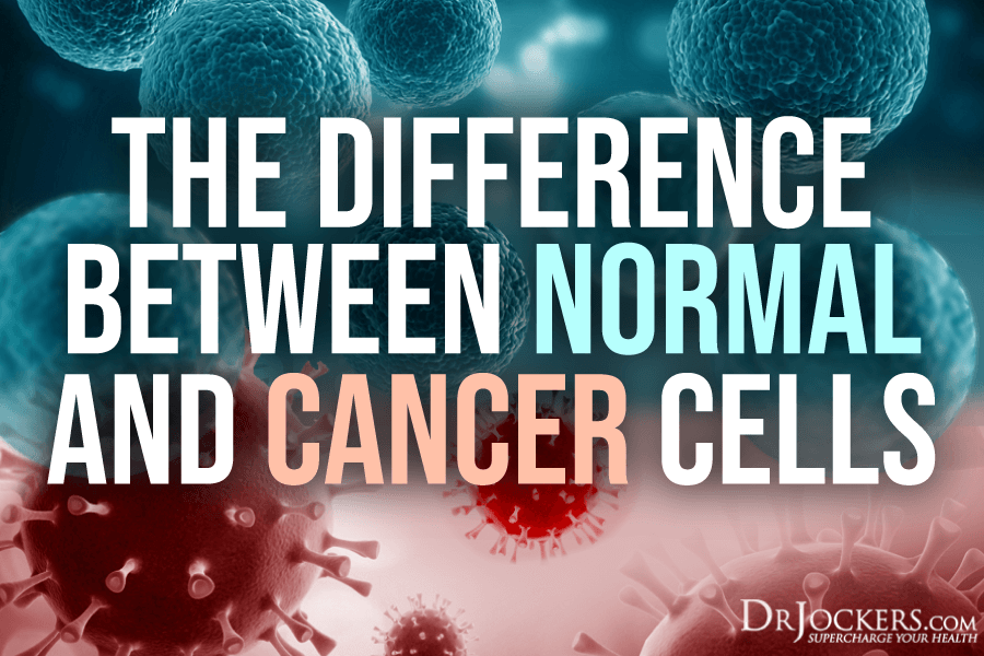 The Difference Between Normal And Cancer Cells DrJockers