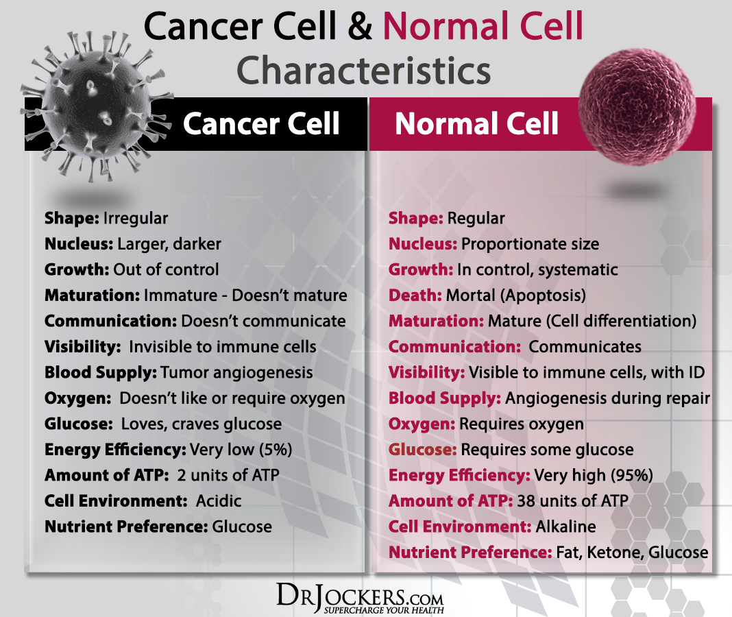 CANCERCELLS_Normal and Cancer Cell Characteristics_2