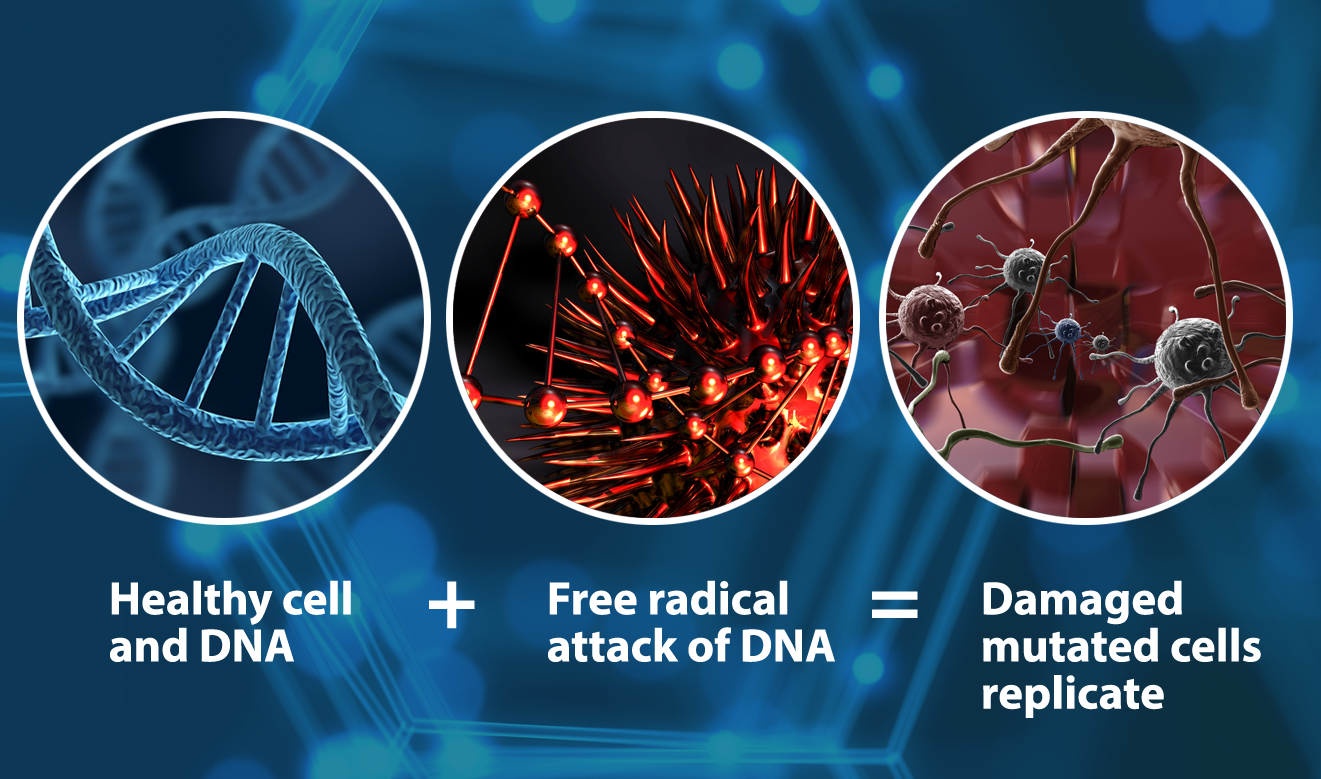 cancer cells vs normal cells chart