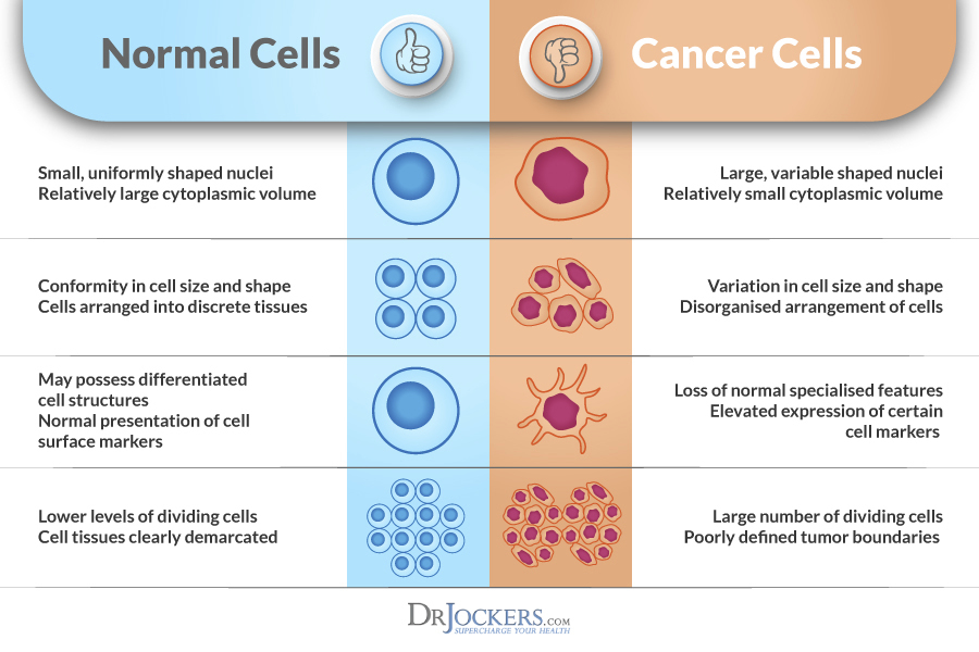 Cancer Cells Vs Normal Cells