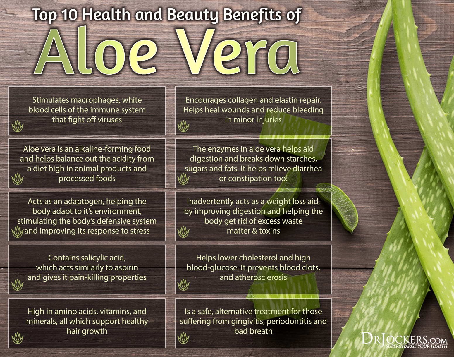 Aloe, 6 Benefits Of Aloe + 5 Uses For The Skin