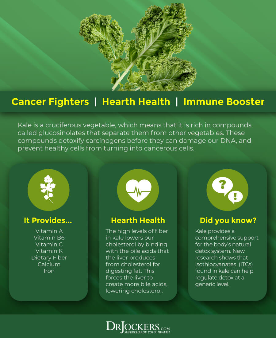 kale, 6 Incredible Health Benefits of Kale