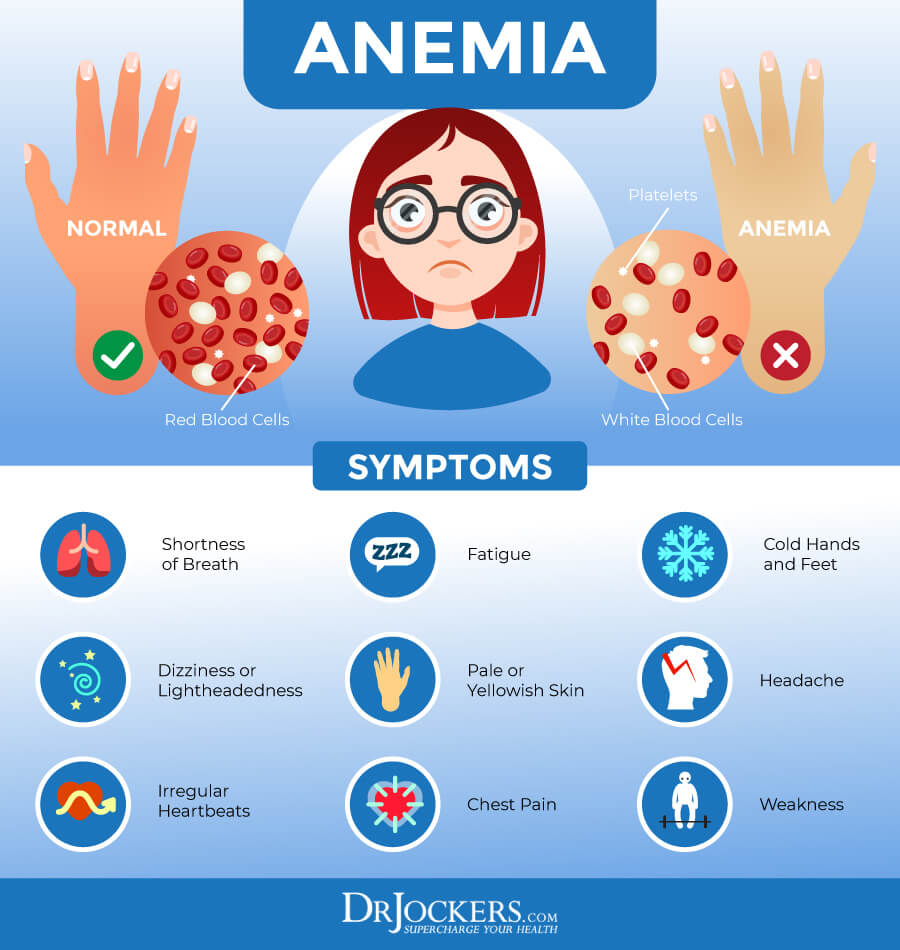 Anemia, Anemia: Causes, Symptoms and Support Strategies