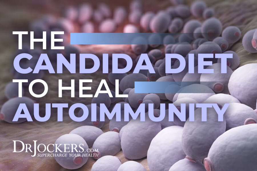 Candida Diet, The Candida Diet to Heal Autoimmunity