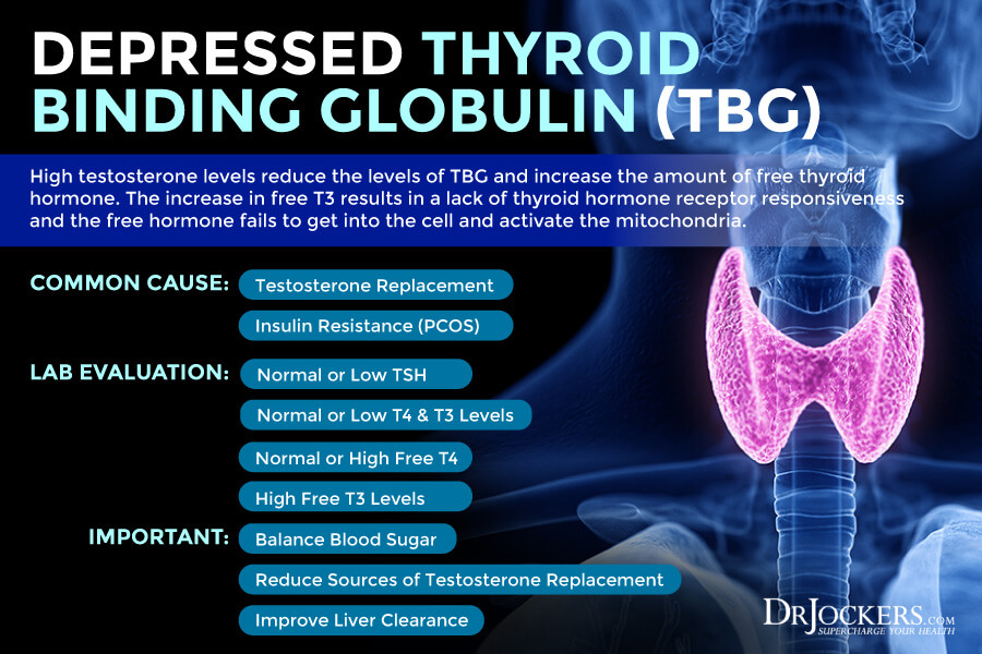 Test thyroid, How to Properly Test Thyroid Function with Labs