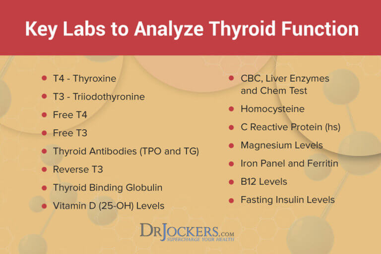 How to Properly Test Thyroid Function with Labs - DrJockers.com