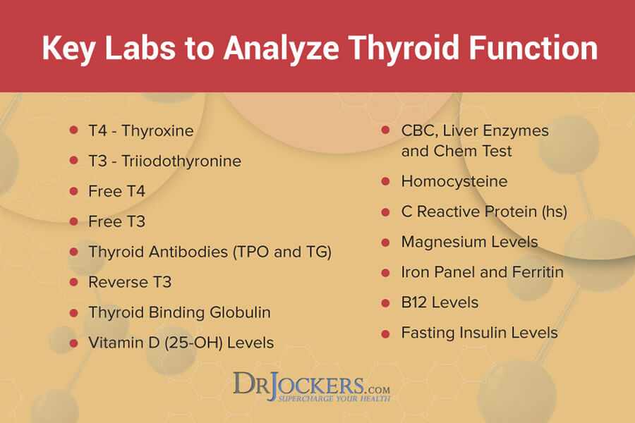 Test thyroid, How to Properly Test Thyroid Function with Labs
