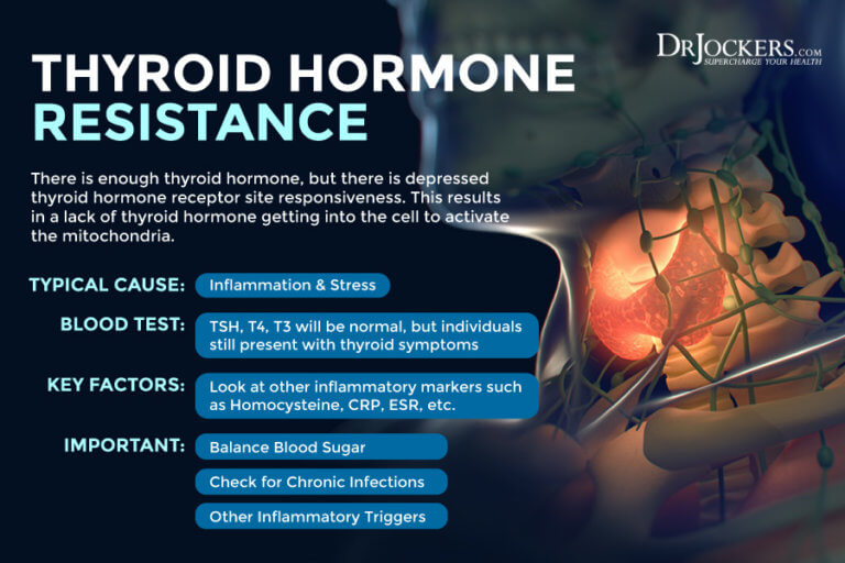 How to Properly Test Thyroid Function with Labs - DrJockers.com