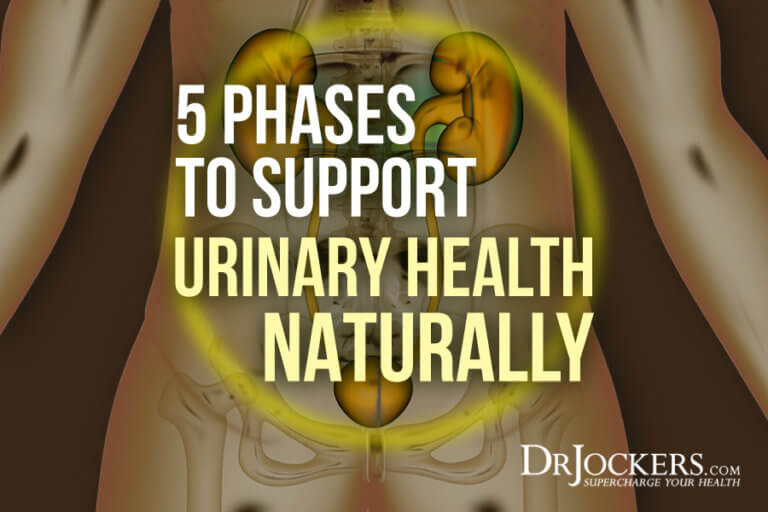 5 Phases to Support Urinary Health Naturally