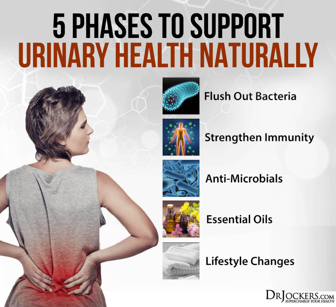 Urinary, 5 Phases to Support Urinary Health Naturally