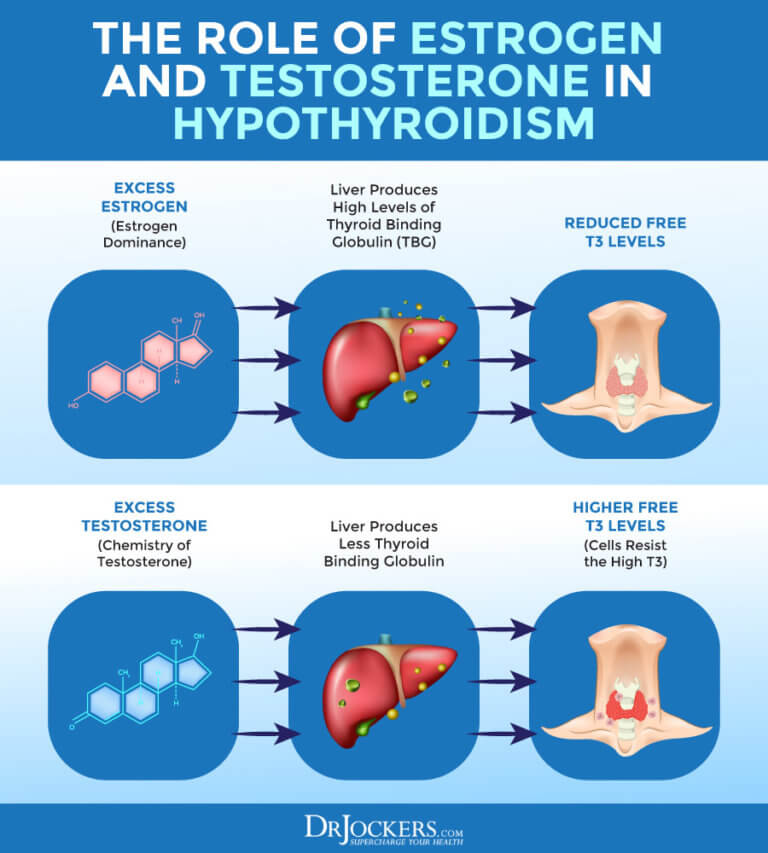 How to Properly Test Thyroid Function with Labs - DrJockers.com