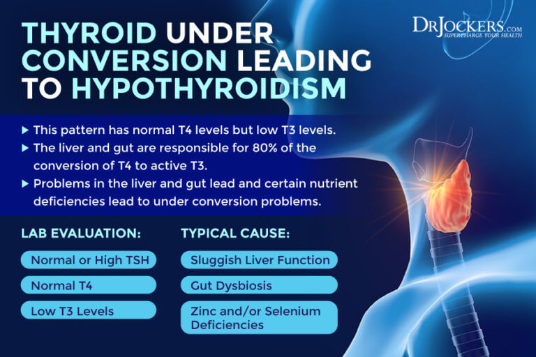 How to Properly Test Thyroid Function with Labs - DrJockers.com