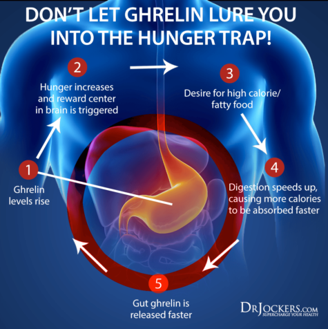 What to Look for in a Weight Loss Supplement