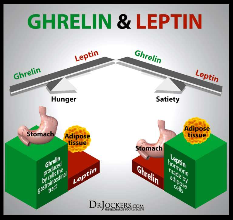 5 Keys to Balance Fat Burning Hormones