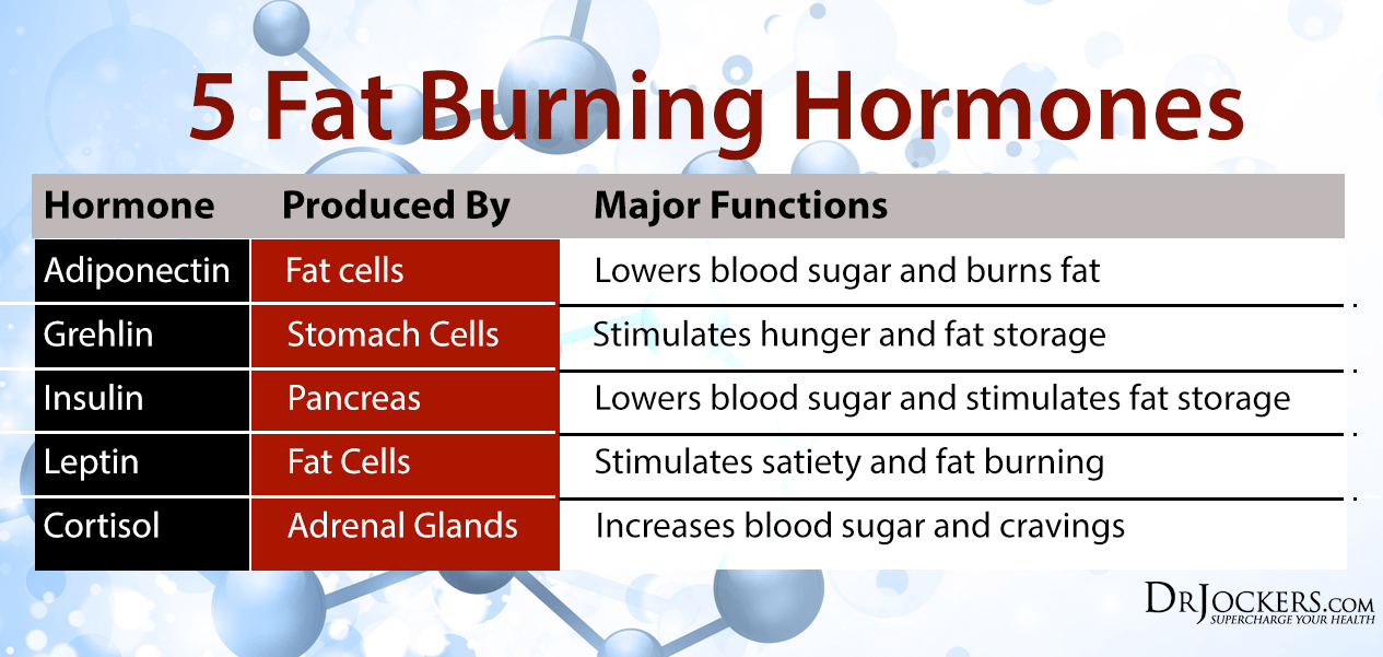 fat burning hormones, 5 Keys to Balance Fat Burning Hormones