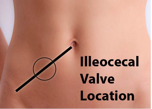 Ileocecal Valve, The Benefits of Ileocecal Valve Massage