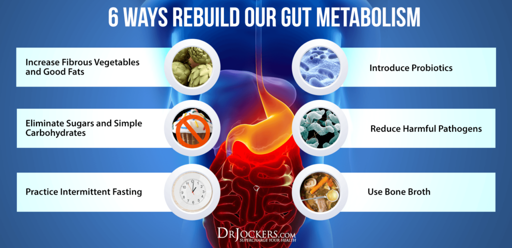 6 Steps To Rebuild Gut Flora Metabolism - DrJockers.com