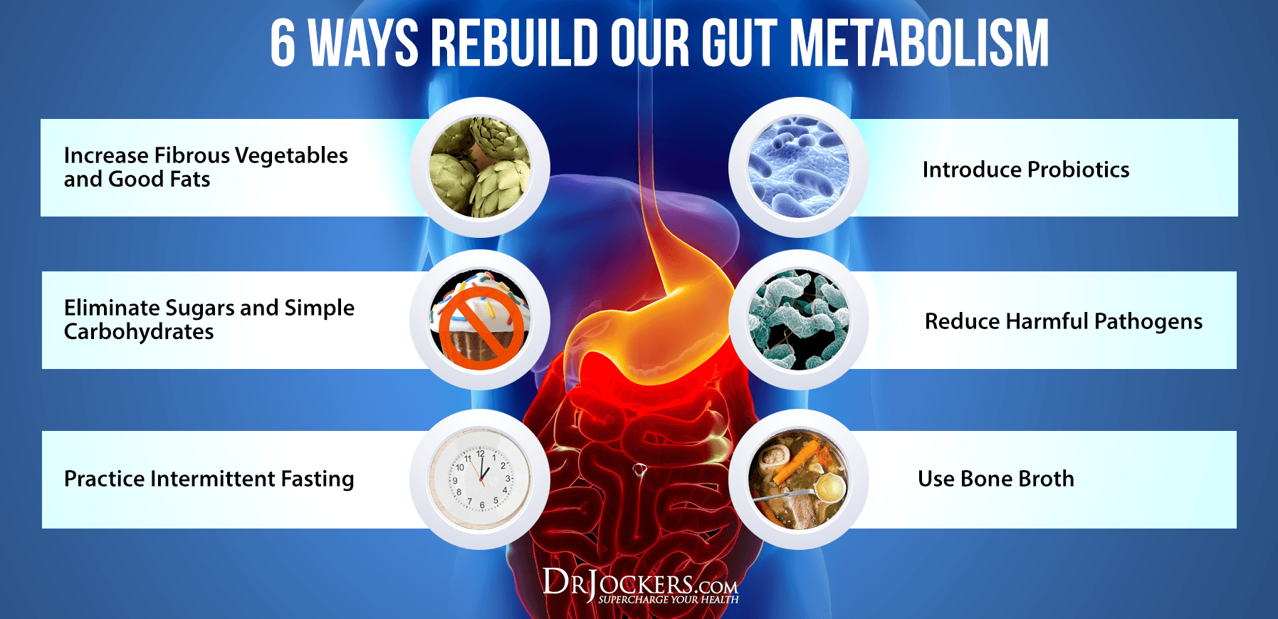 gut flora, 6 Steps to Rebuild Gut Flora Metabolism