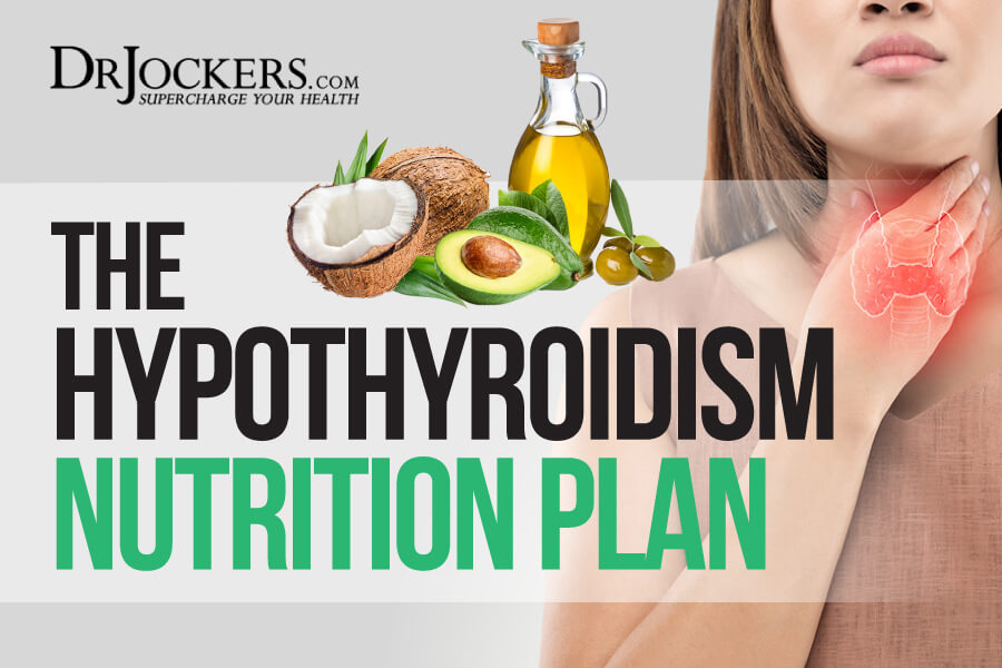 Hypothyroidism nutrition, The Hypothyroidism Nutrition Plan