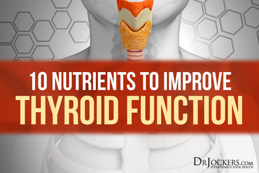 Thyroid function, 10 Nutrients to Improve Thyroid Function