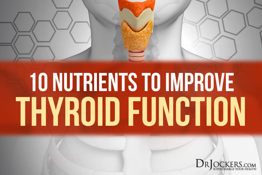 thyroid function