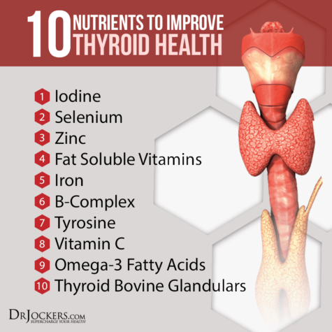 10 Nutrients to Improve Thyroid Function - DrJockers.com