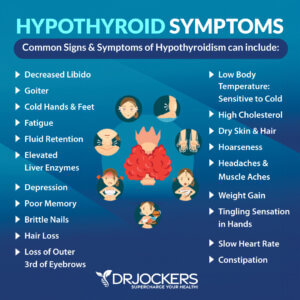 The Hypothyroidism Nutrition Plan - DrJockers.com